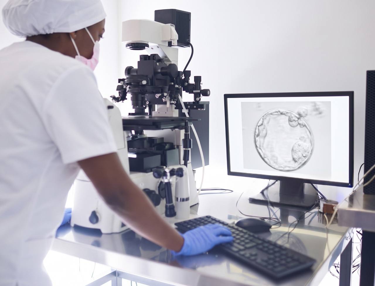 analyzing ivf results